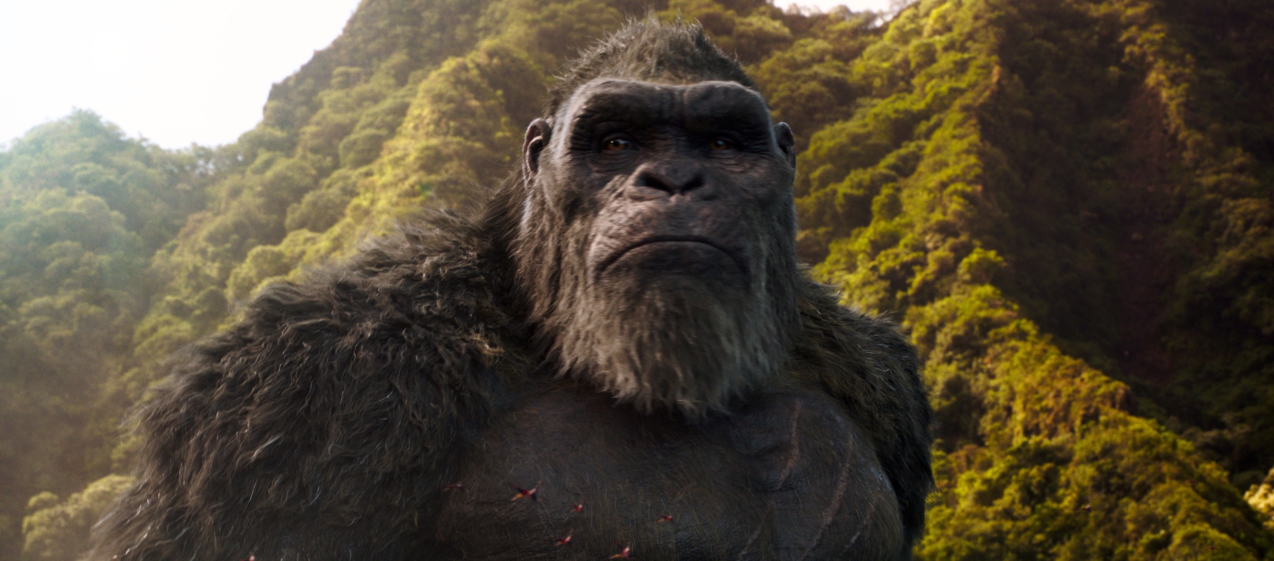 ‘Godzilla Vs Kong’ Non-Spoiler Review – BvS W/ Kaiju | The Cinema Spot