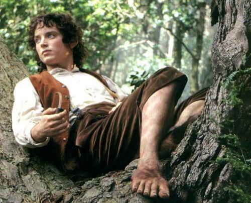 Frodo Baggings sat on a tree in the shire The Lord of the Rings: The Fellowship of the Ring 2001