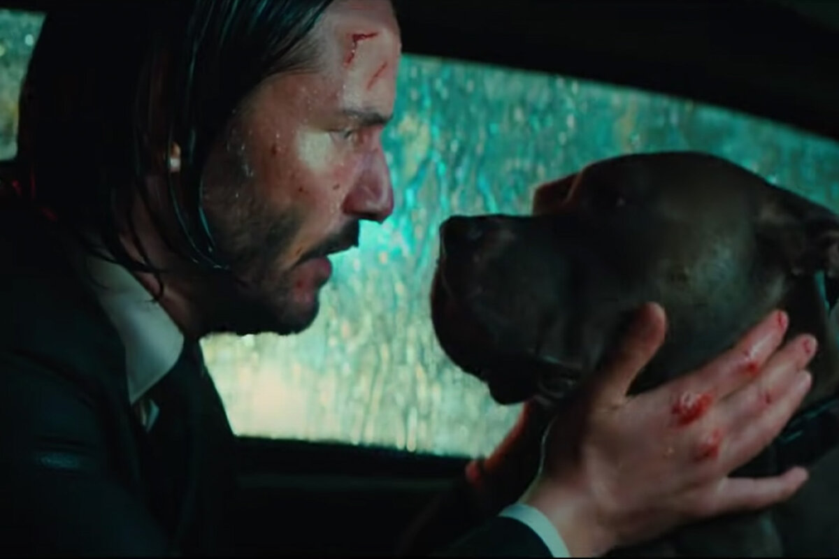 As much as that man defends and kills for his puppy, John Wick 5 may as well be a "Dog movie." 

via The Cinema Spot 