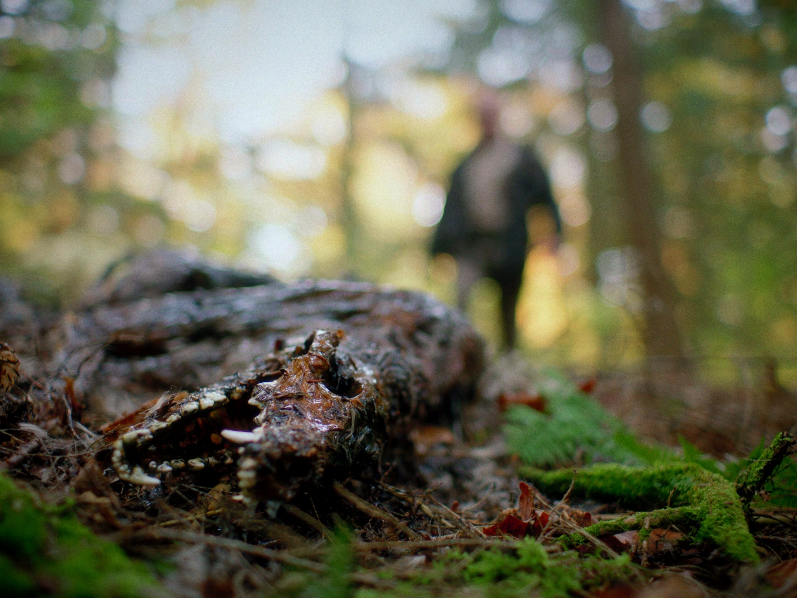 Ry Barrett as Johnny in Chris Nash's IFC Films and Shudder dramatic horror thriller, In A Violent Nature