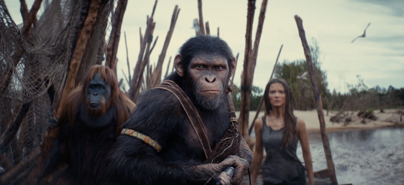 Peter Macon as Raka, Owen Teague as Noa, and Freya Allan as Nova in Wes Ball and Josh Friedman's action-adventure science-fiction film, Kingdom of the Planet of the Apes