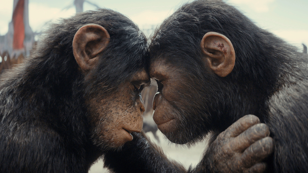 Owen Teague as Noa and Sarah Wiseman as Dar in Wes Ball and Josh Friedman's action-adventure science-fiction film, Kingdom of the Planet of the Apes