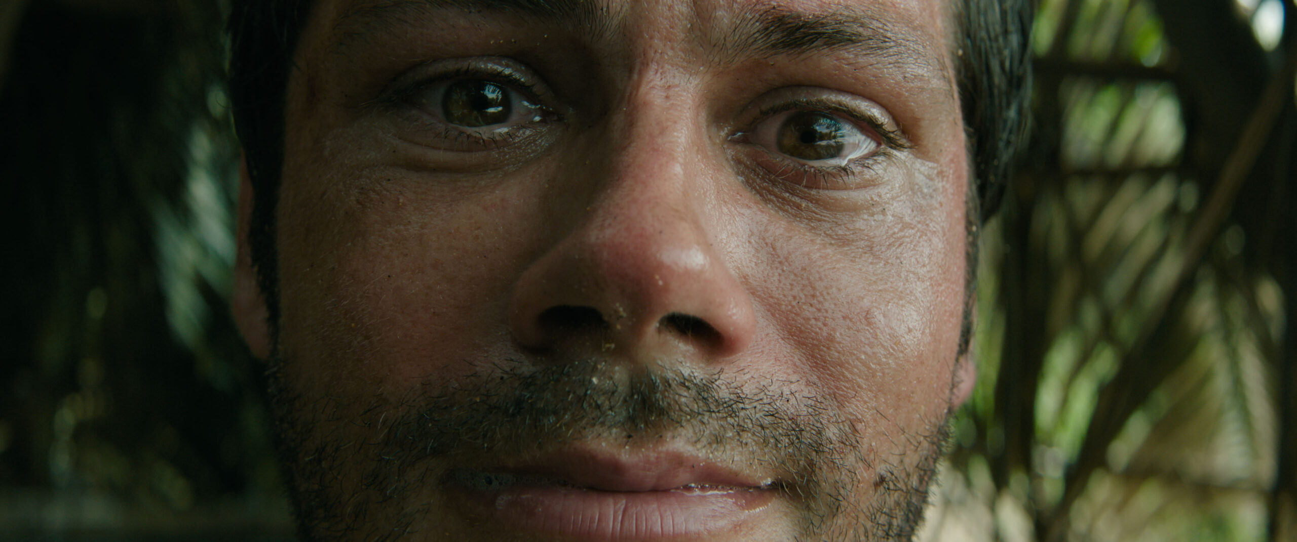 Dylan O'Brien in Sam Raimi, Damian Shannon, and Mark Swift's psychological horror thriller dark comedy film, Send Help